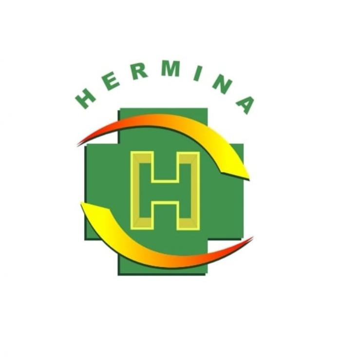 Logo RS Hermina
